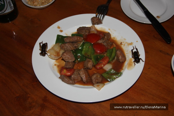 photo 566631