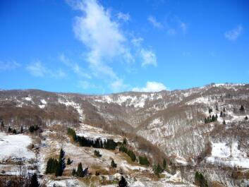 photo 1421356