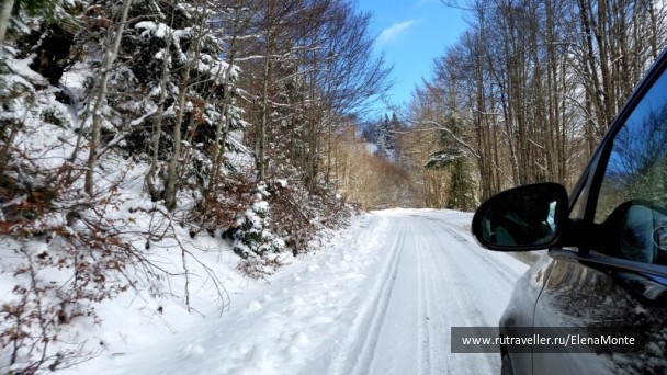 photo 1421371