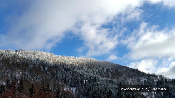 photo 1421374