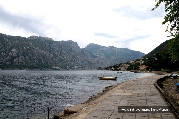 photo 1436258