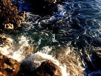 photo 1422616