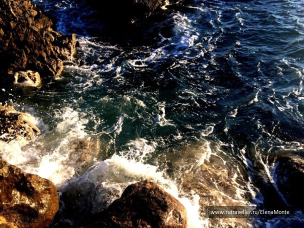 photo 1422616