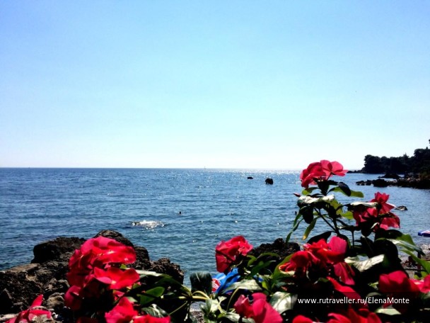 photo 1422619