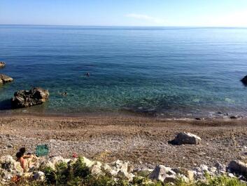 photo 1422620