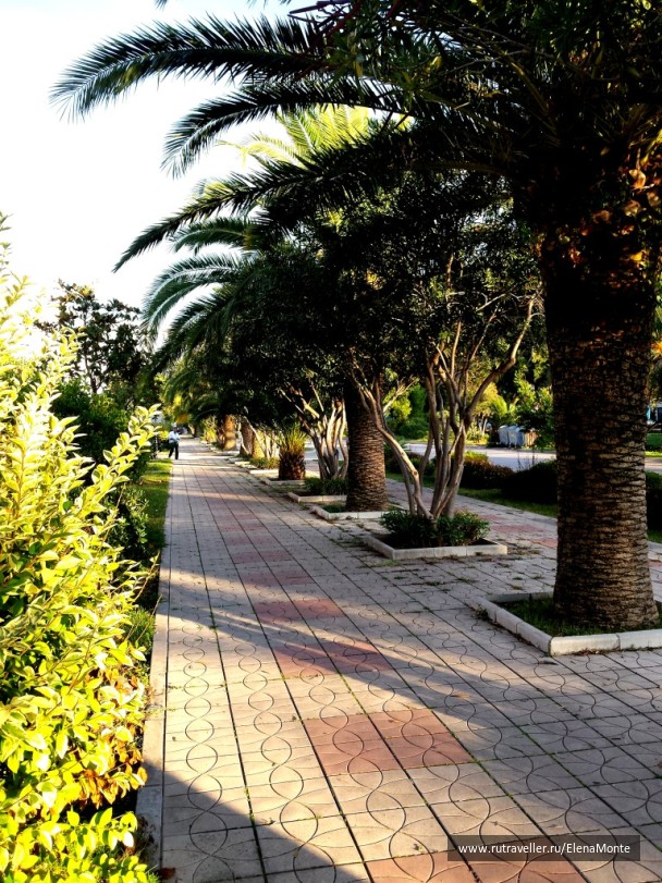 photo 1422623