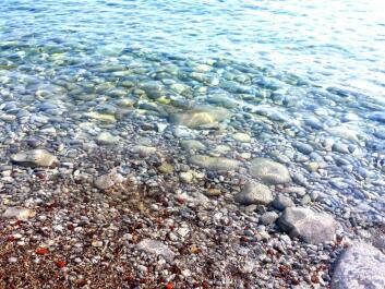photo 1422638