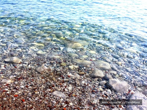 photo 1422638