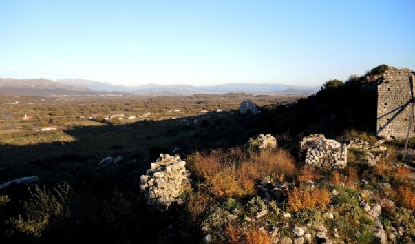 DSCN2911