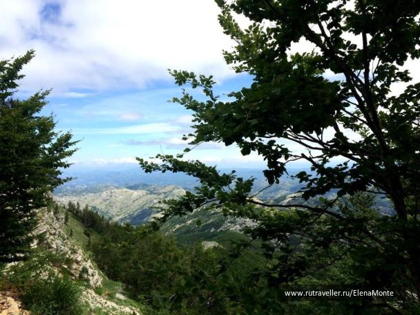 photo 1423236