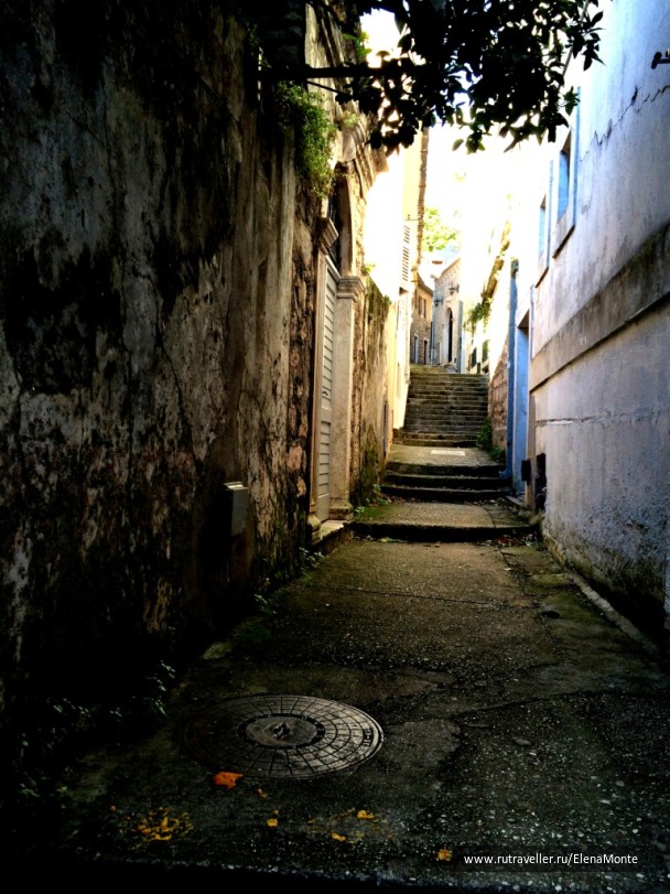 photo 1424349