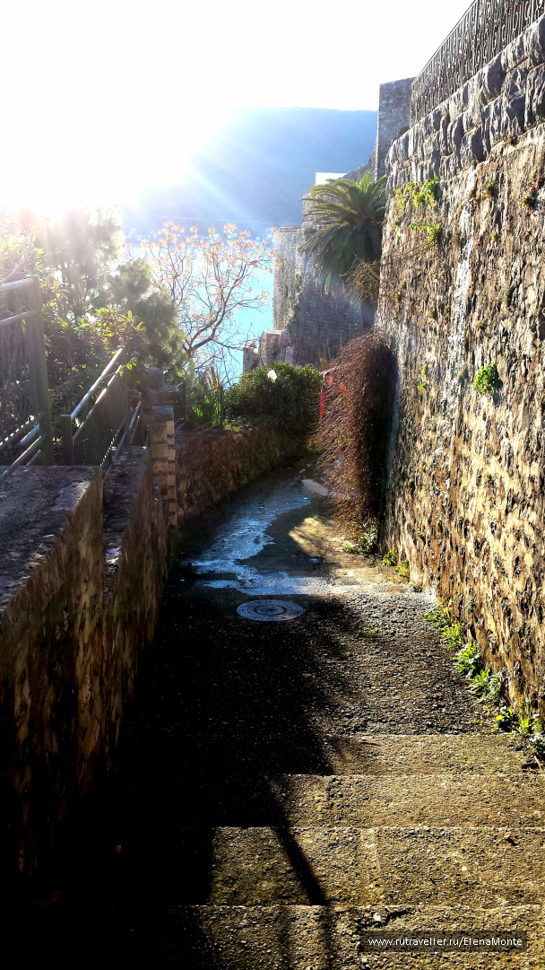photo 1424352
