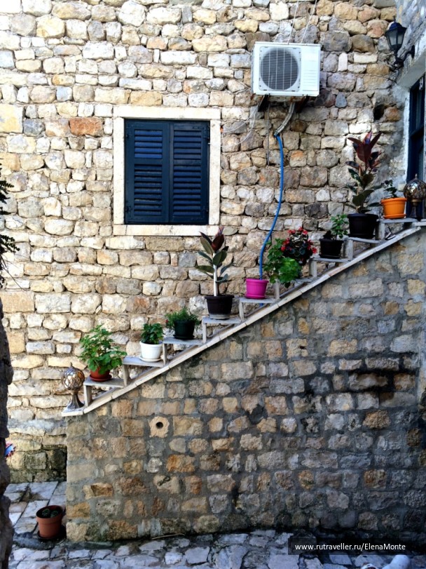 photo 1424372