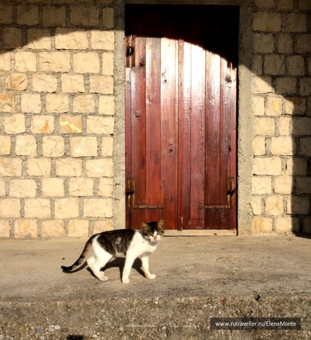 photo 1424374