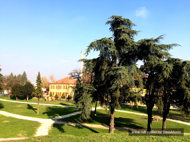 photo 1425693