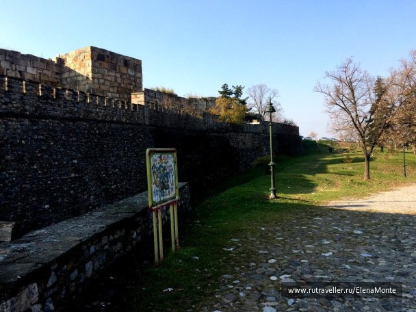 photo 1425694