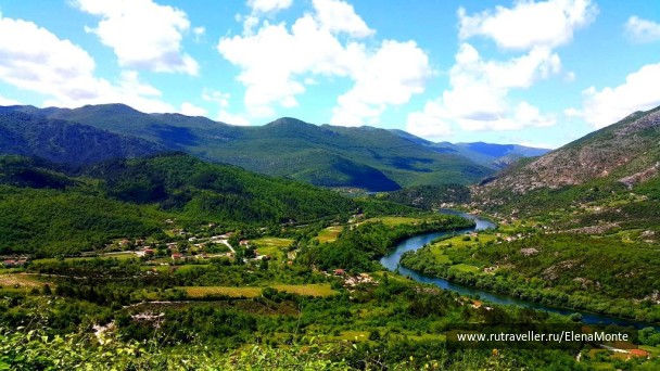 photo 1428516