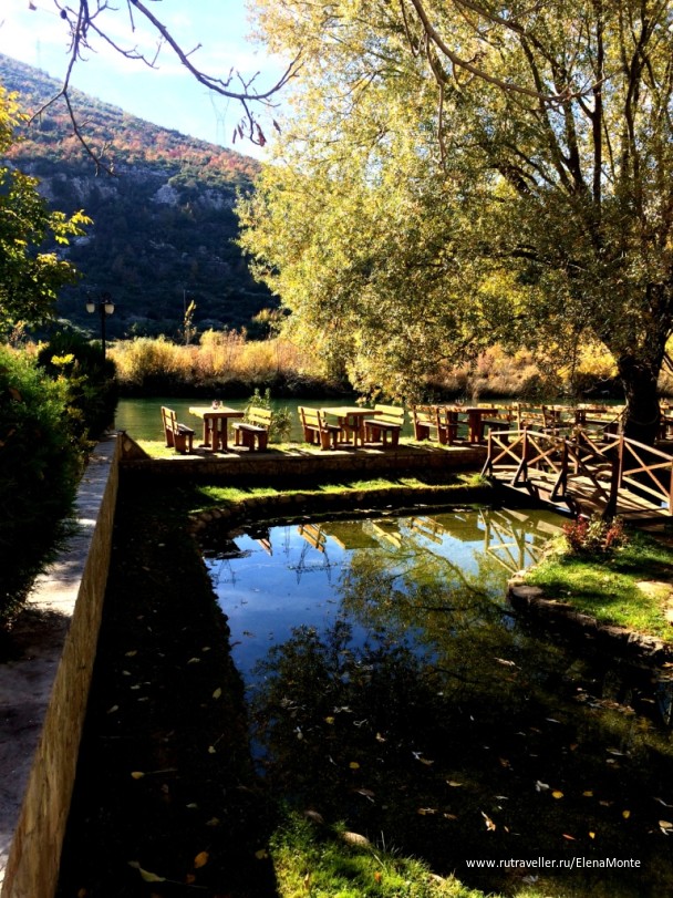 photo 1428517