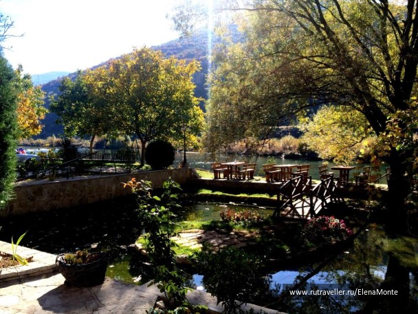 photo 1428518