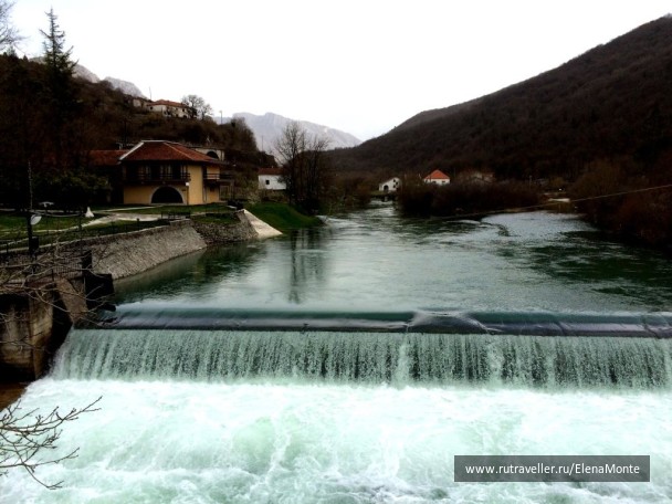 photo 1428534