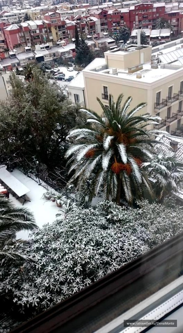 photo 1429272