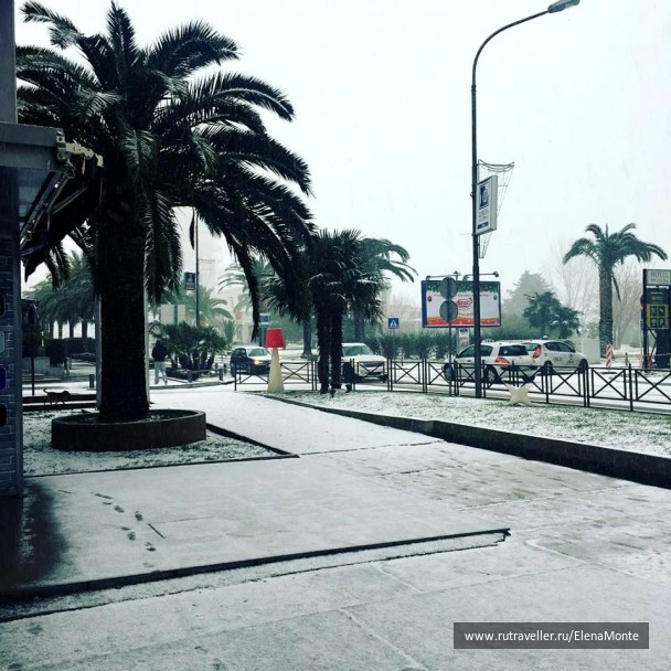 photo 1429273