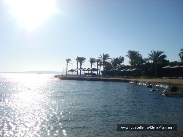 photo 423870