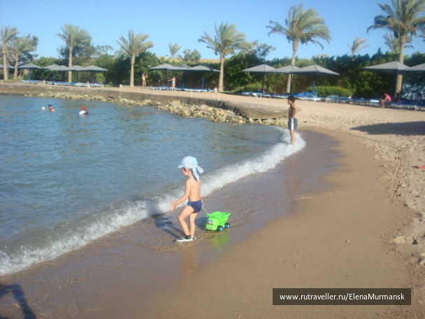 photo 423875