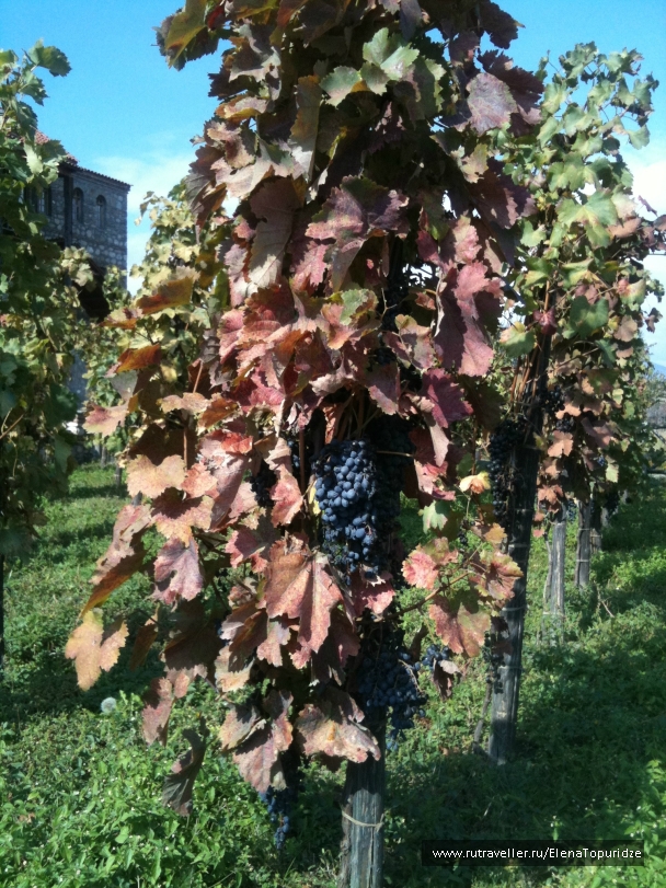 photo 864682