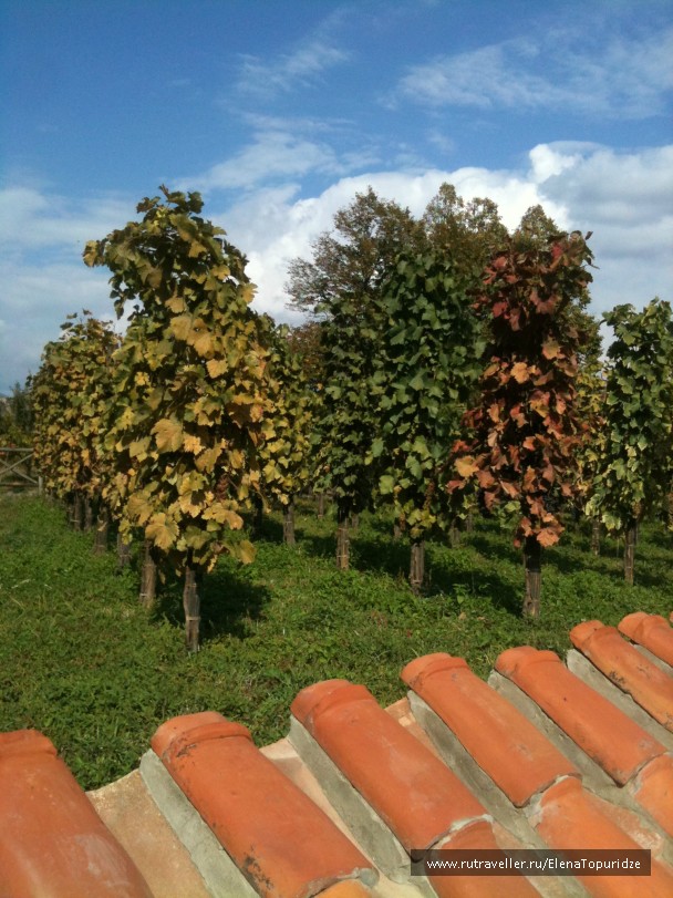 photo 864683