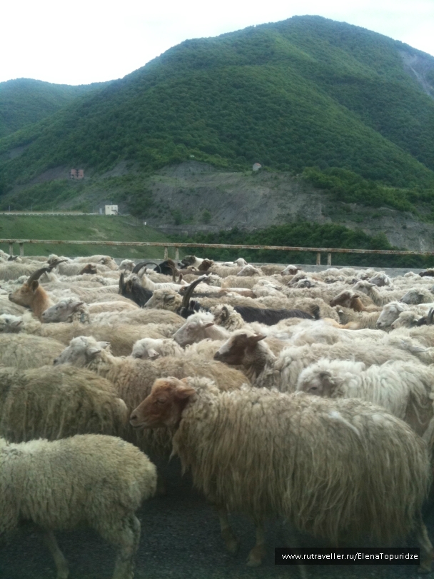 photo 864744