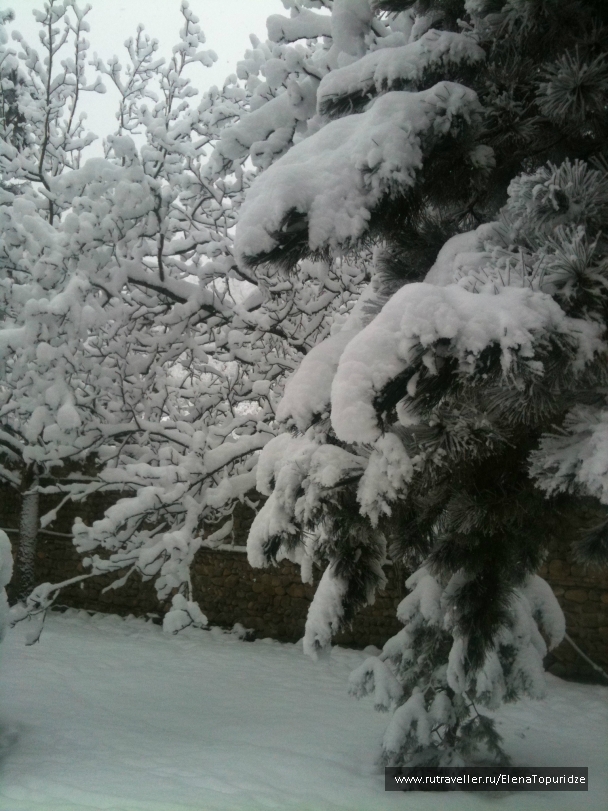 photo 864755