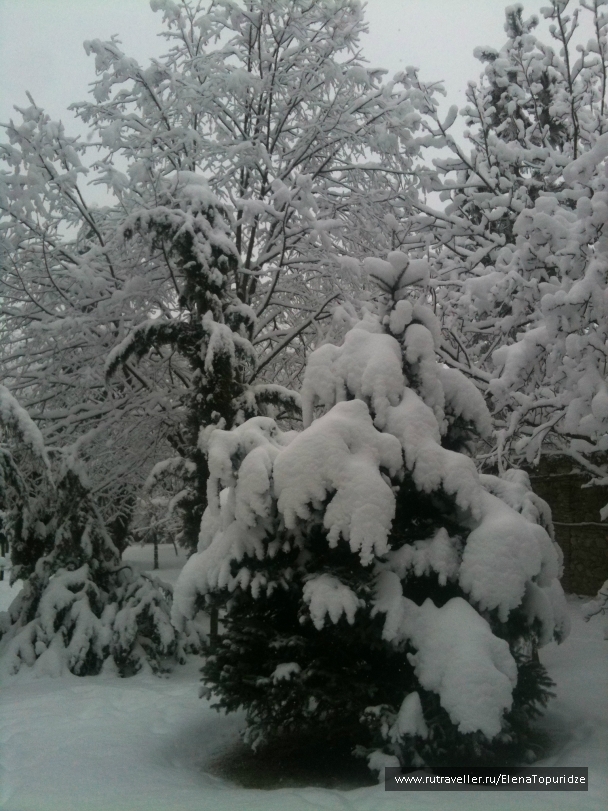 photo 864756