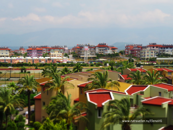 photo 1221743