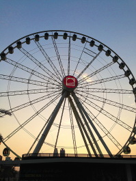 photo 1253431
