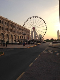 photo 1253435