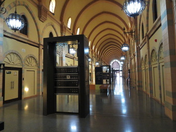 photo 1317556
