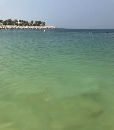 photo 2053767