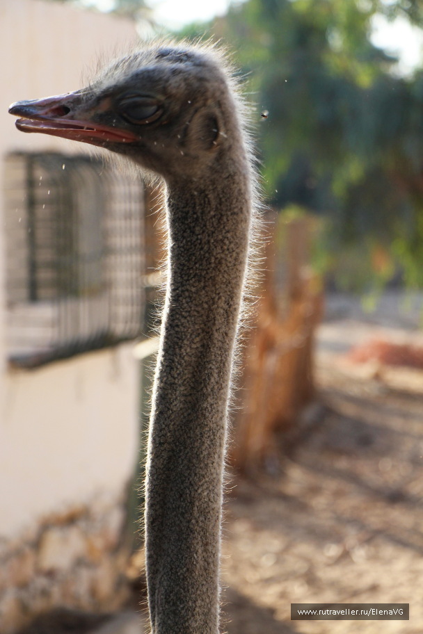 photo 1403350