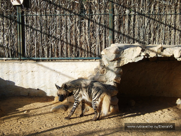 photo 1403353