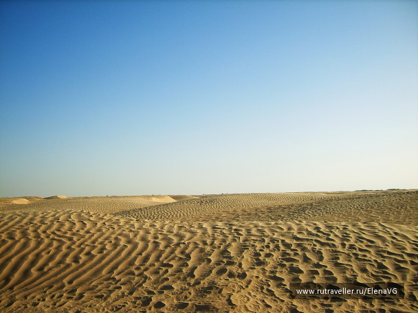 photo 1403354