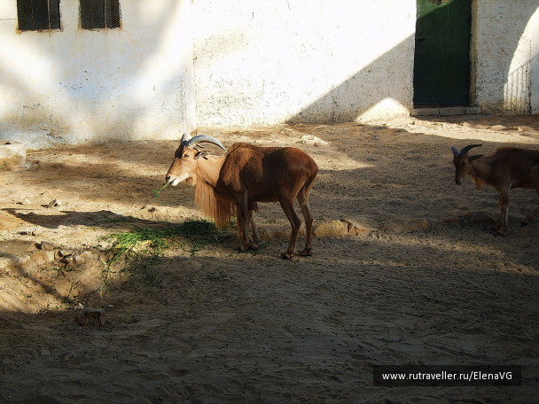 photo 1406372