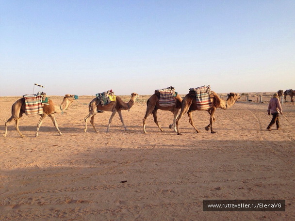 photo 1413710