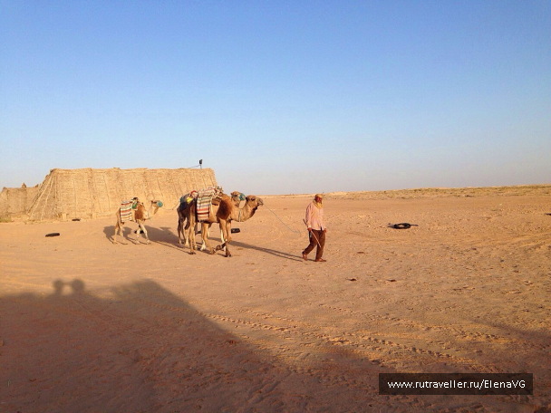 photo 1413712