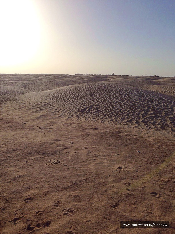 photo 1413713