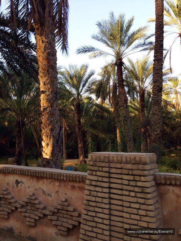 photo 1413716