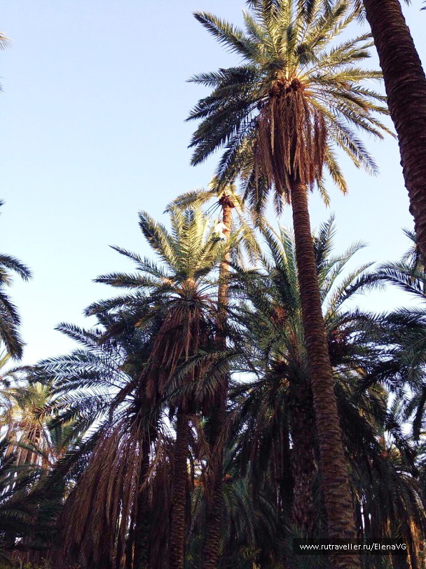 photo 1413718