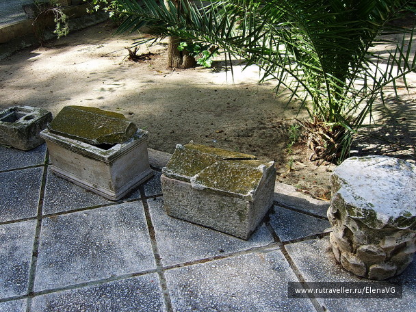 photo 1399515