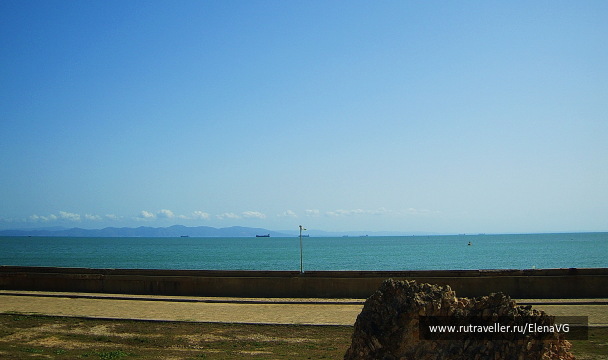 photo 1403330