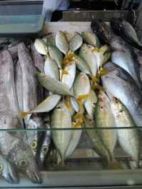 photo 1457459